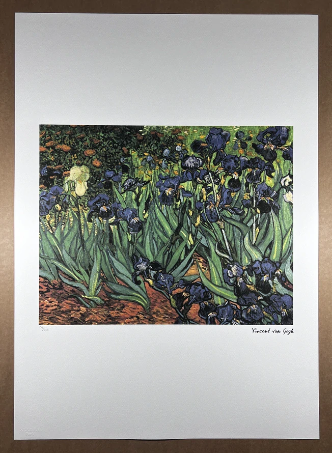 Obraz | Vincent van Gogh | Irisy