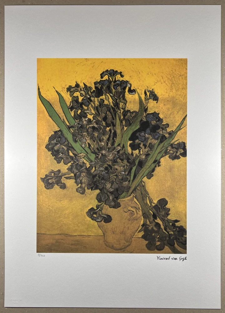 Obraz | Vincent van Gogh | Kosatce