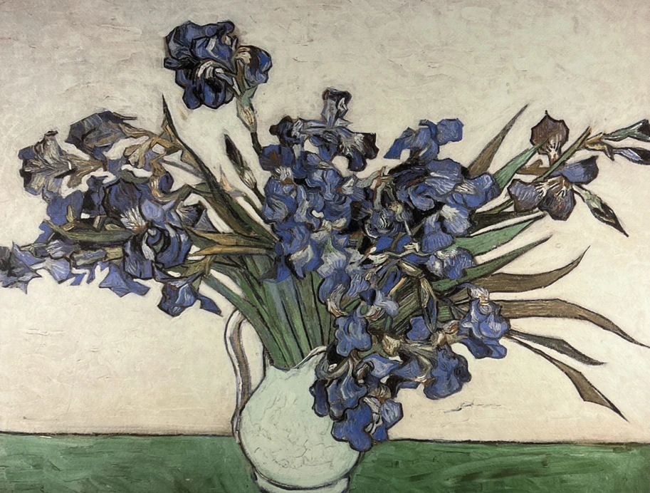 Obraz | Vincent van Gogh | Váza s irisy