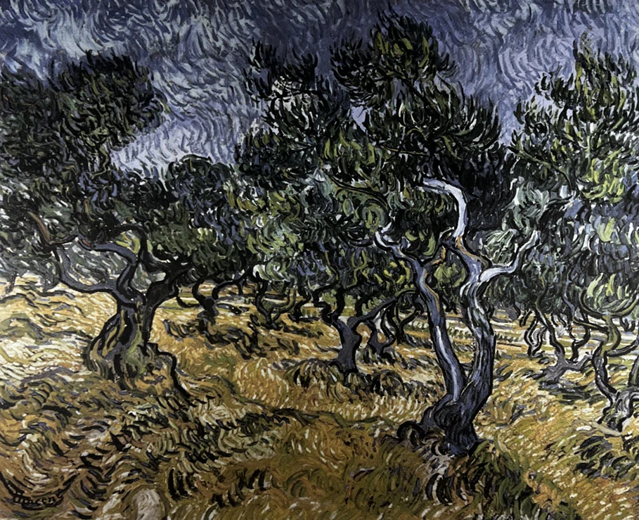 Obraz | Vincent van Gogh | Olivovníky