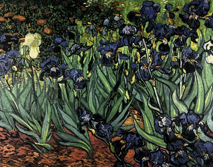 Obraz | Vincent van Gogh | Irisy