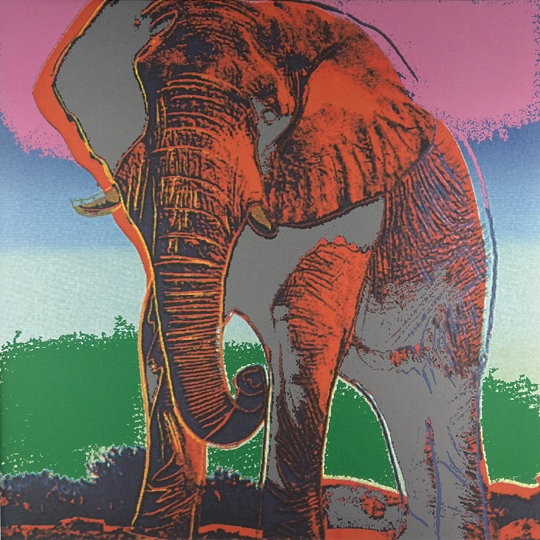 Obraz | Andy Warhol | Slon africký | fialová