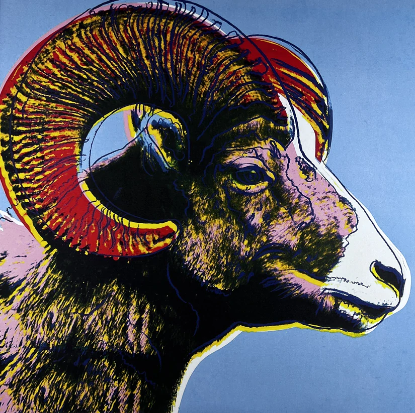 Obraz | Andy Warhol | Beran tlustorohý | světle modrá