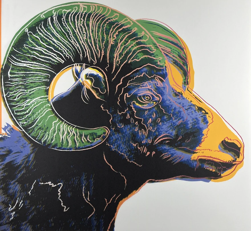 Obraz | Andy Warhol | Beran tlustorohý | bílá