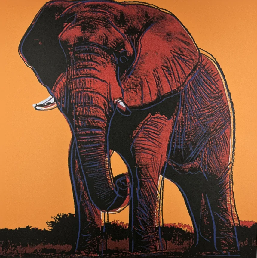 Obraz | Andy Warhol | Slon africký | oranžová
