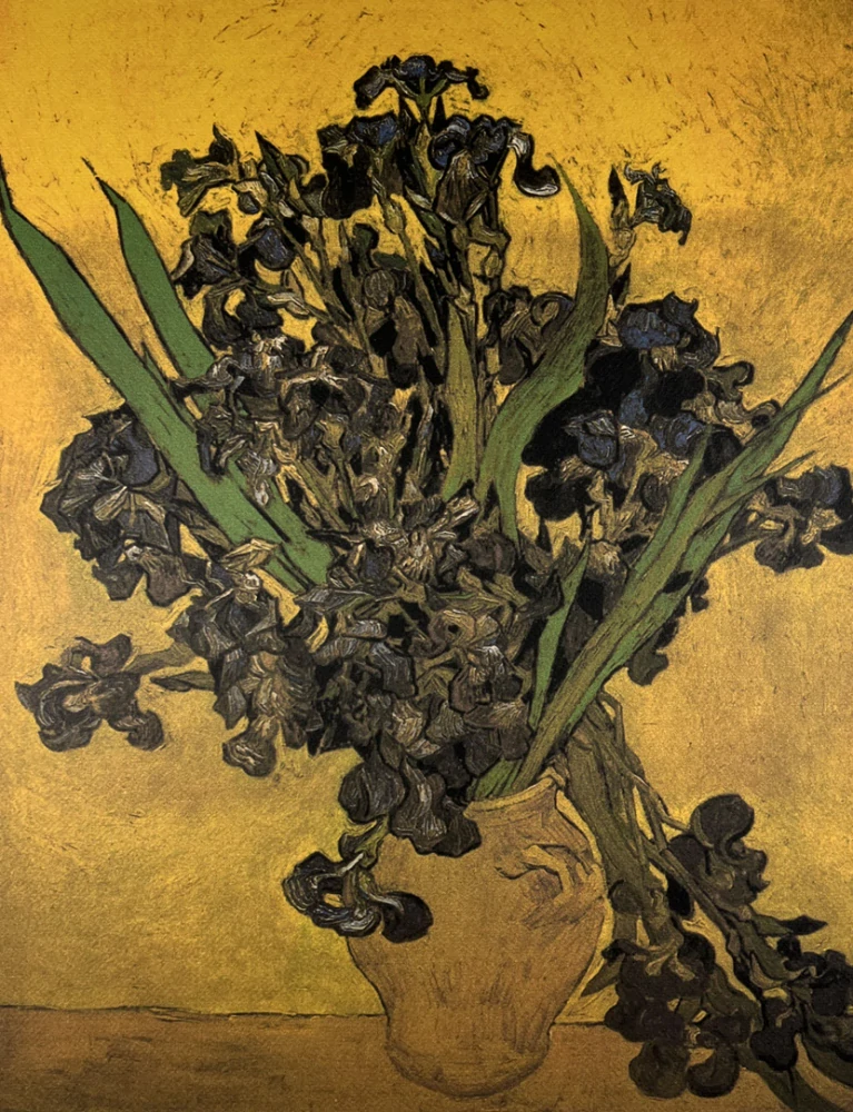 Obraz | Vincent van Gogh | Kosatce