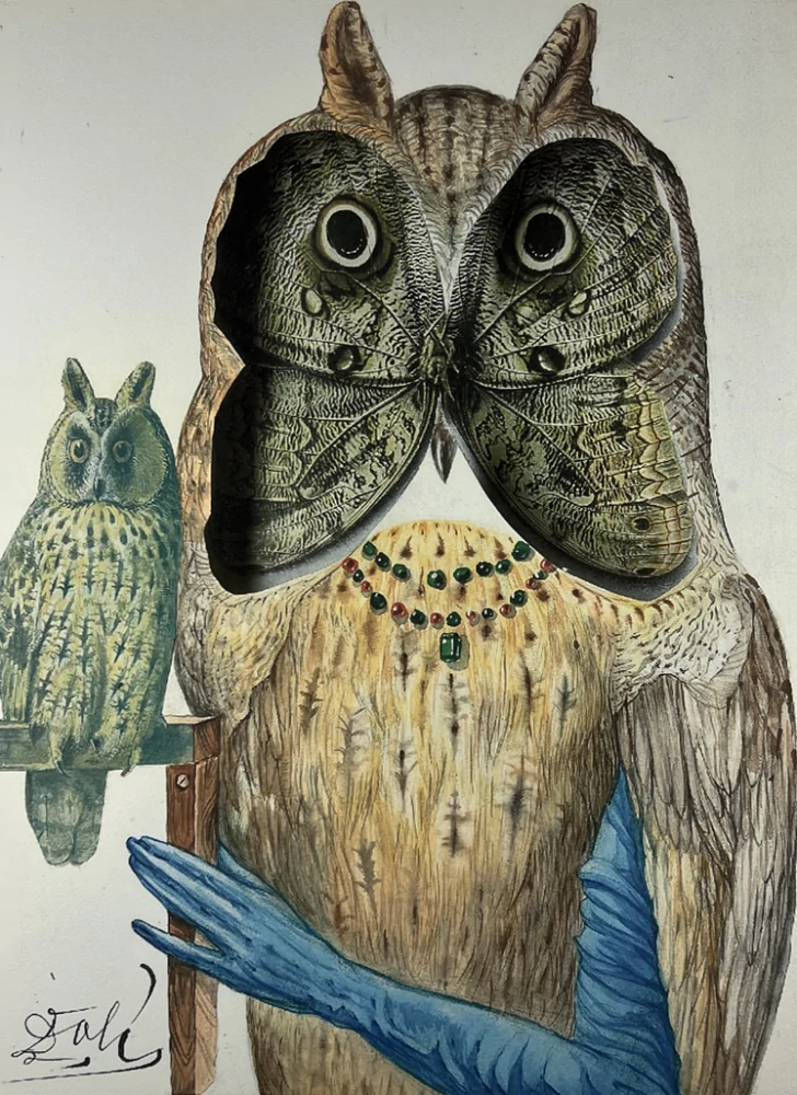 Obraz | Salvador Dalí | Sova