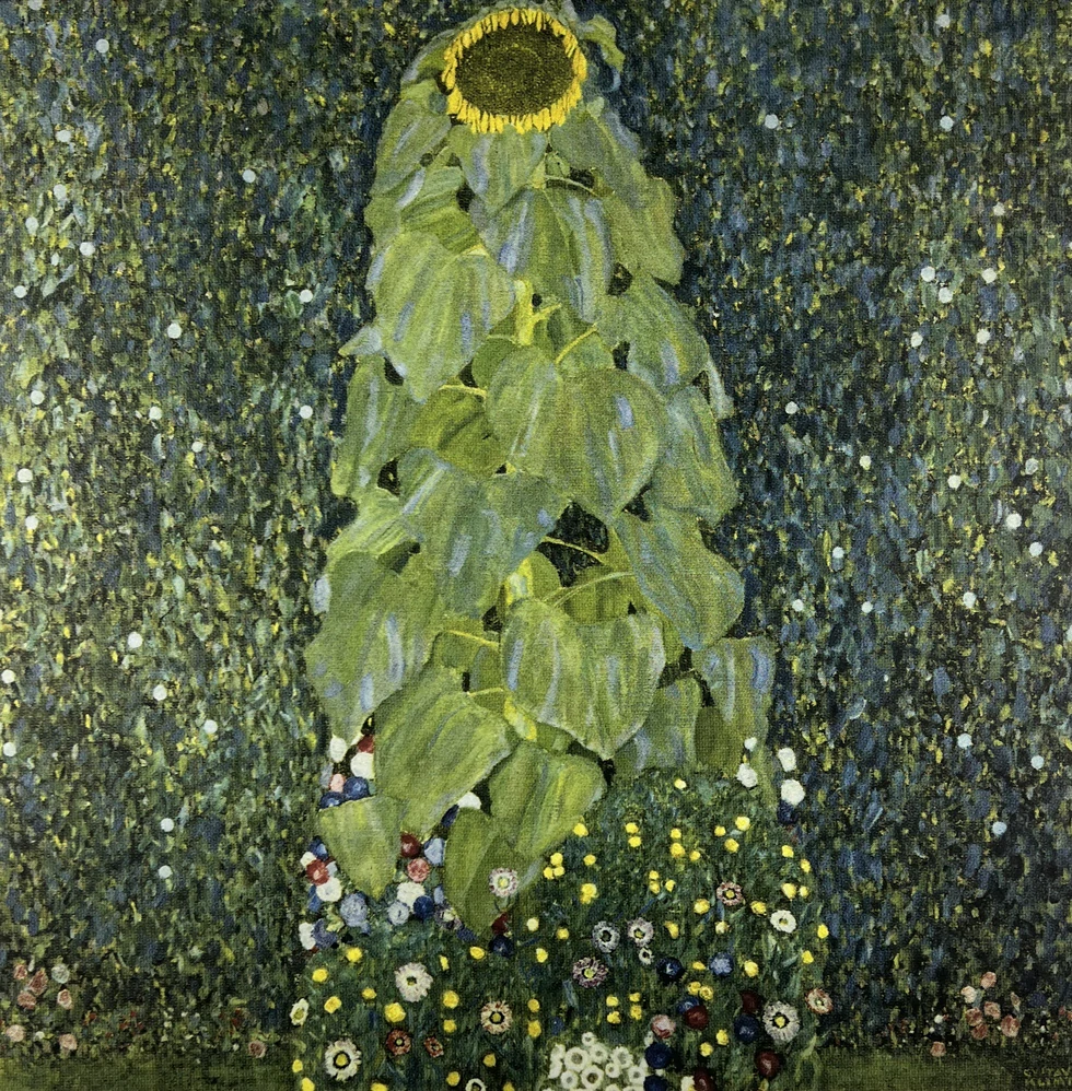 Obraz | Gustav Klimt | Slunečnice