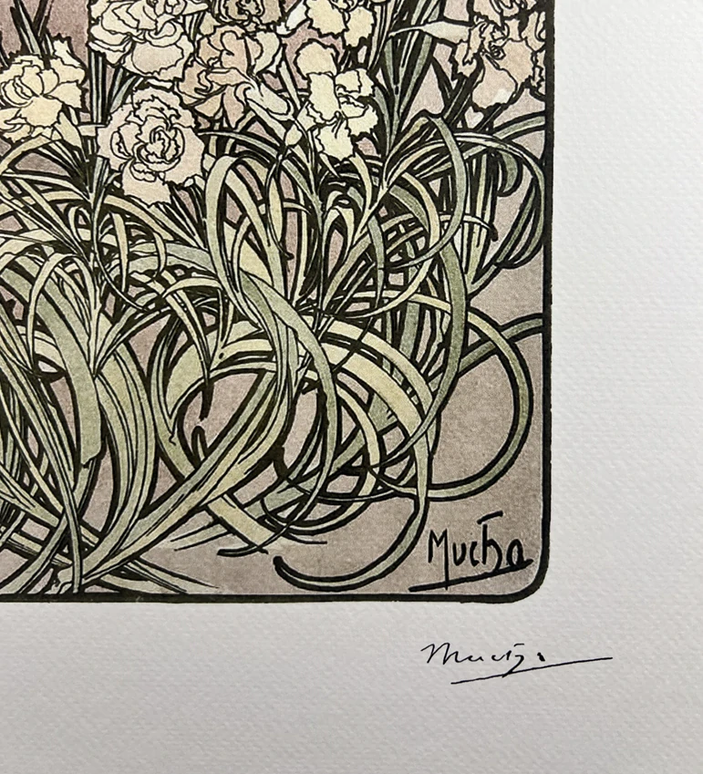 Obraz | Alfons Mucha | Carnation