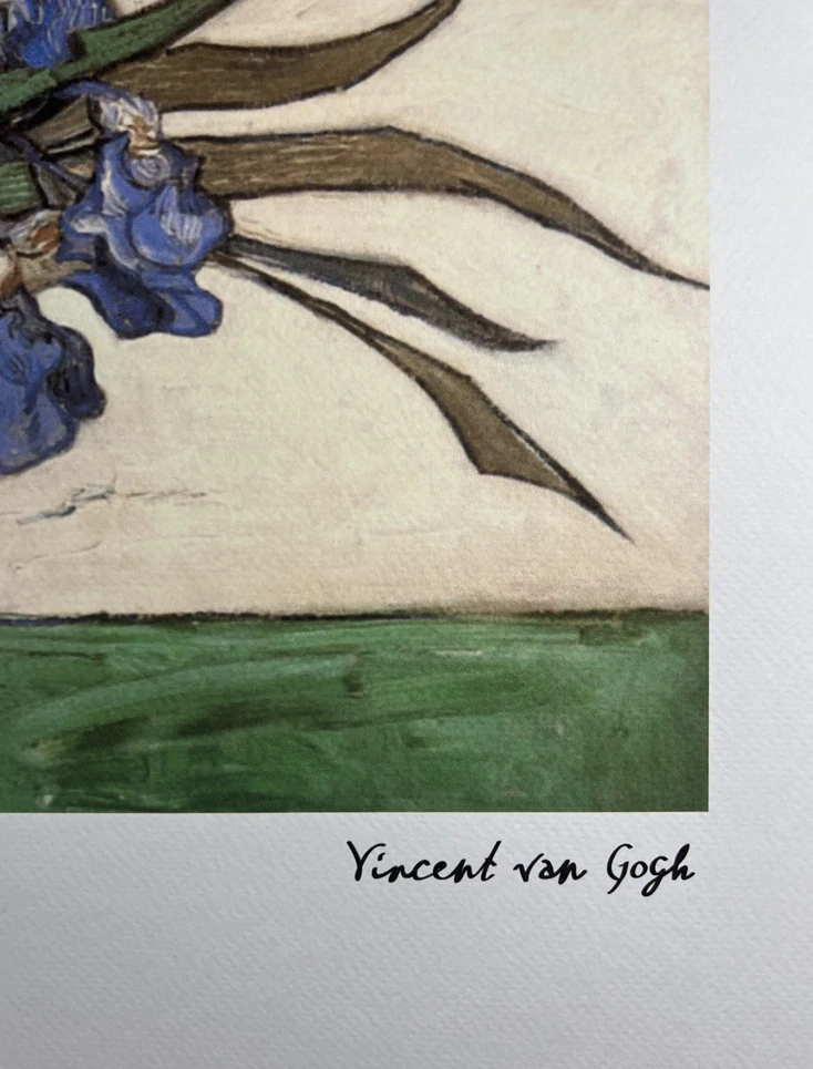 Obraz | Vincent van Gogh | Váza s irisy