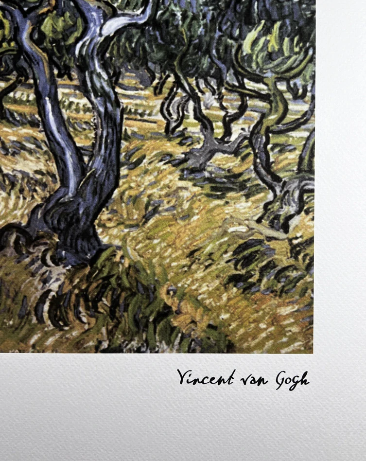 Obraz | Vincent van Gogh | Olivovníky