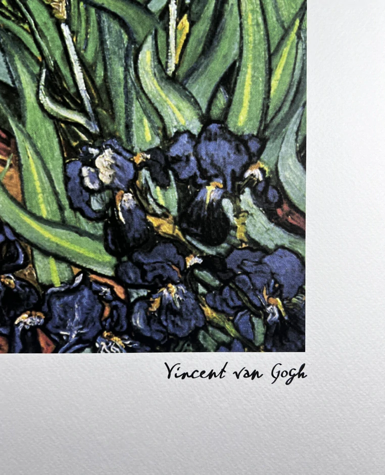 Obraz | Vincent van Gogh | Irisy