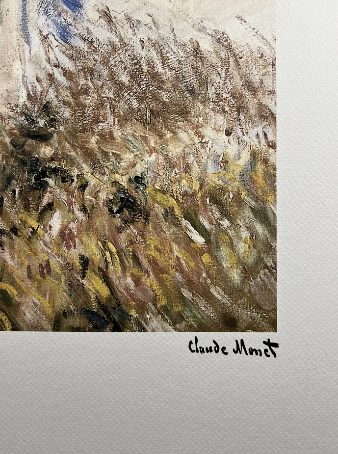 Obraz | Claude Monet | Dáma s deštníkem