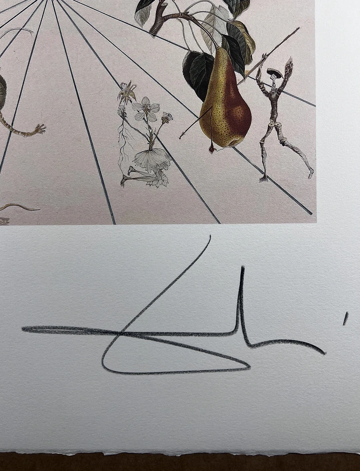 Obraz | Salvador Dalí | Motýlí růže