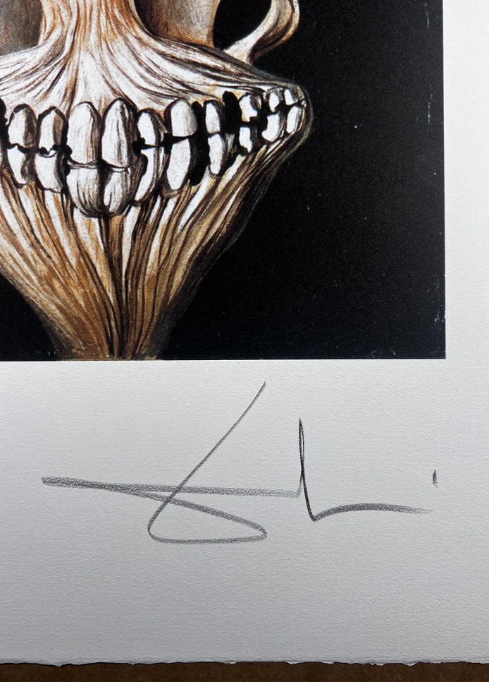 Obraz | Salvador Dalí | Baletka