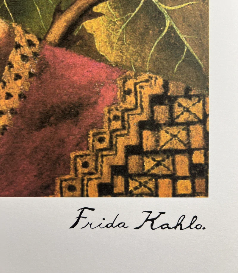Obraz | Frida Kahlo | Diego v mé hlavě