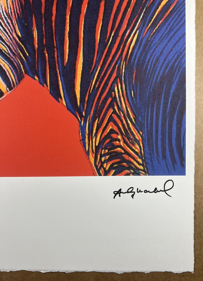 Obraz | Andy Warhol | Zebra Grévyho | červená