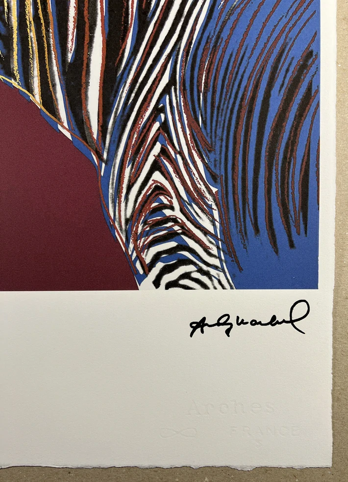 Obraz | Andy Warhol | Zebra Grévyho | bordo