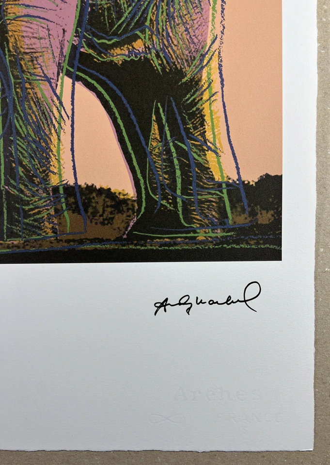 Obraz | Andy Warhol | Slon africký | hnědá