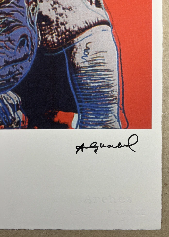 Obraz | Andy Warhol | Nosorožec černý | červená