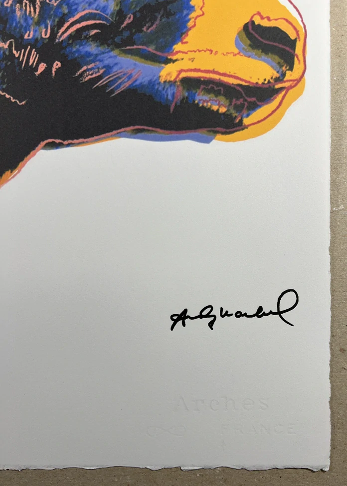 Obraz | Andy Warhol | Beran tlustorohý | bílá