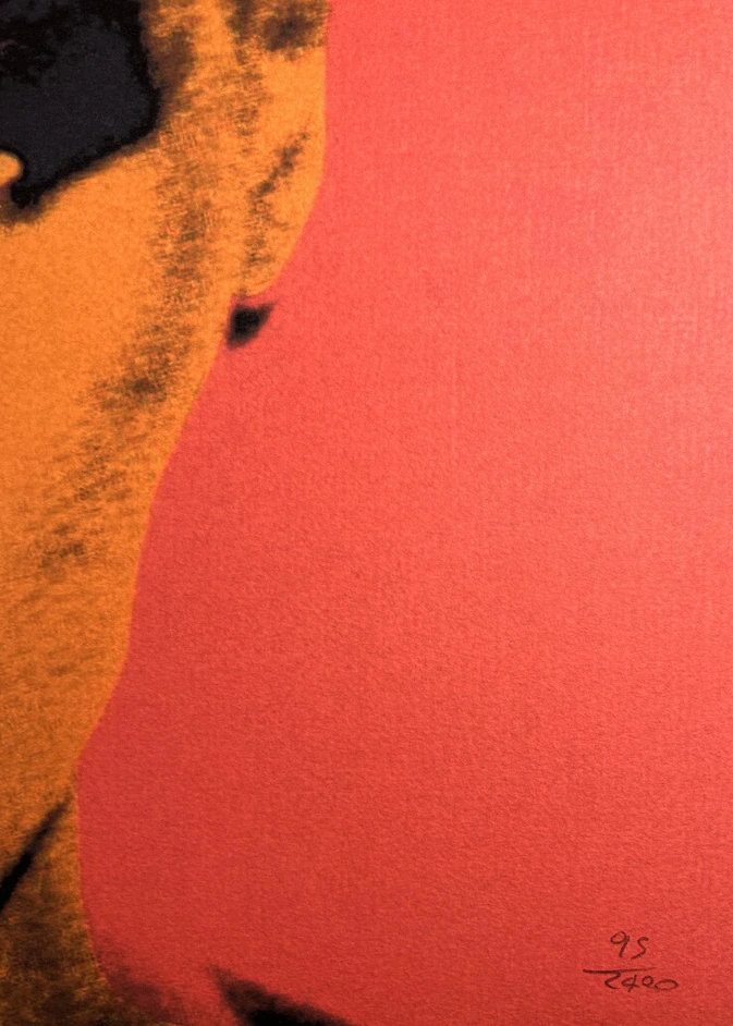 Obraz | Andy Warhol | Grace Jones 
