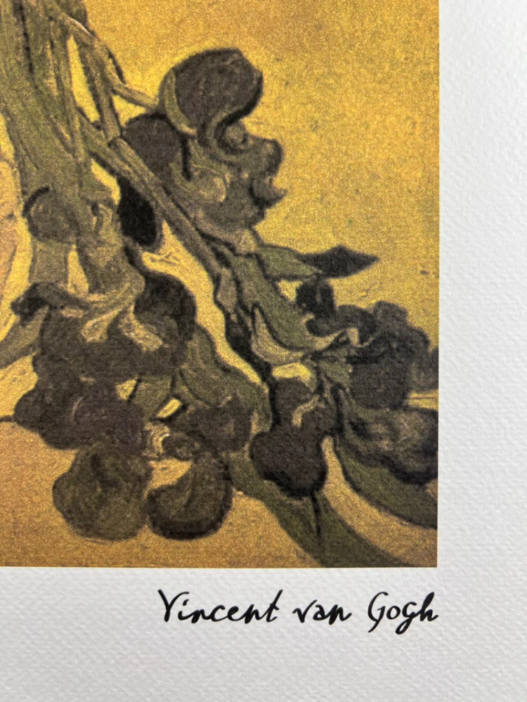 Obraz | Vincent van Gogh | Kosatce