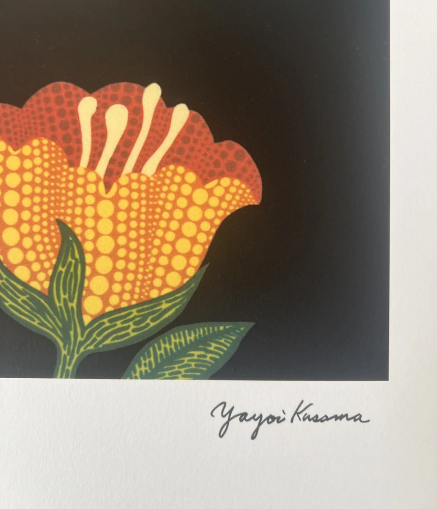 Obraz | Yayoi Kusama | № 8