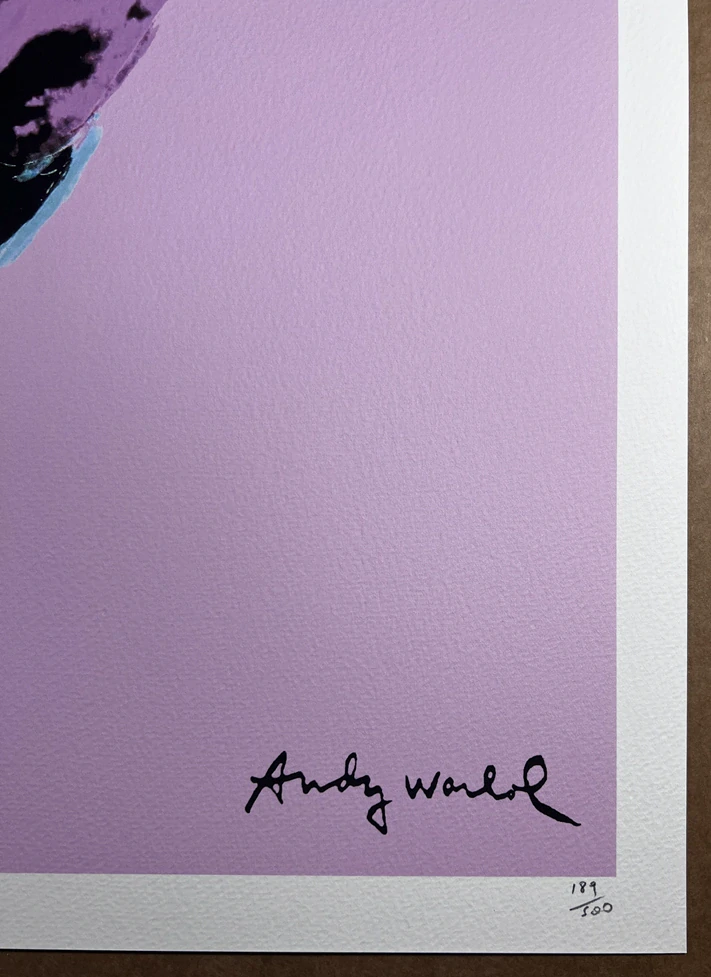 Obraz | Andy Warhol | Lebka růžová