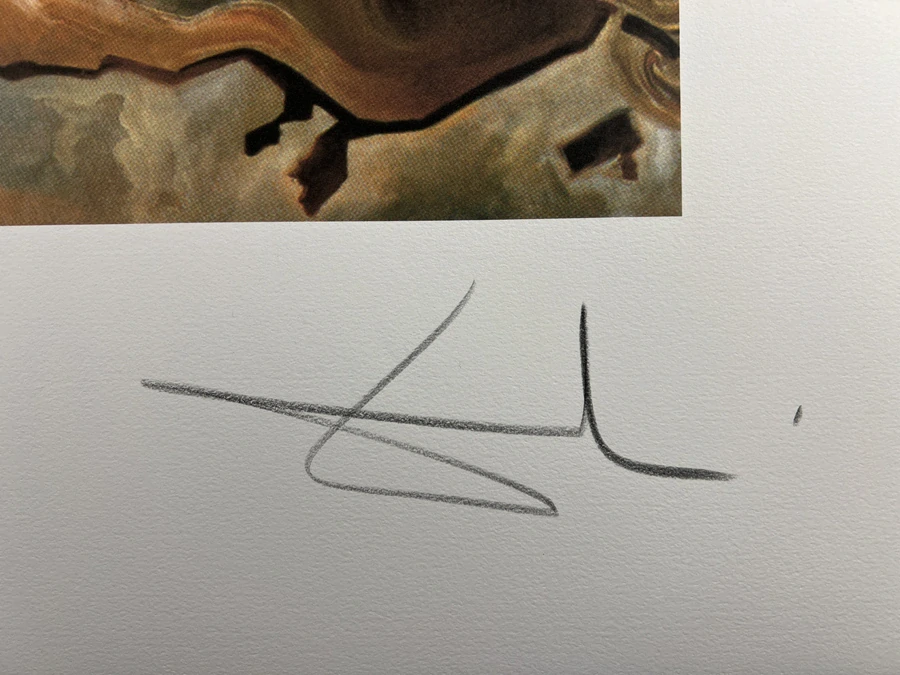 Obraz | Salvador Dalí | ?