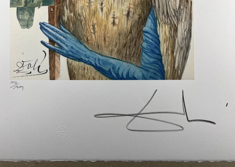 Obraz | Salvador Dalí | Sova