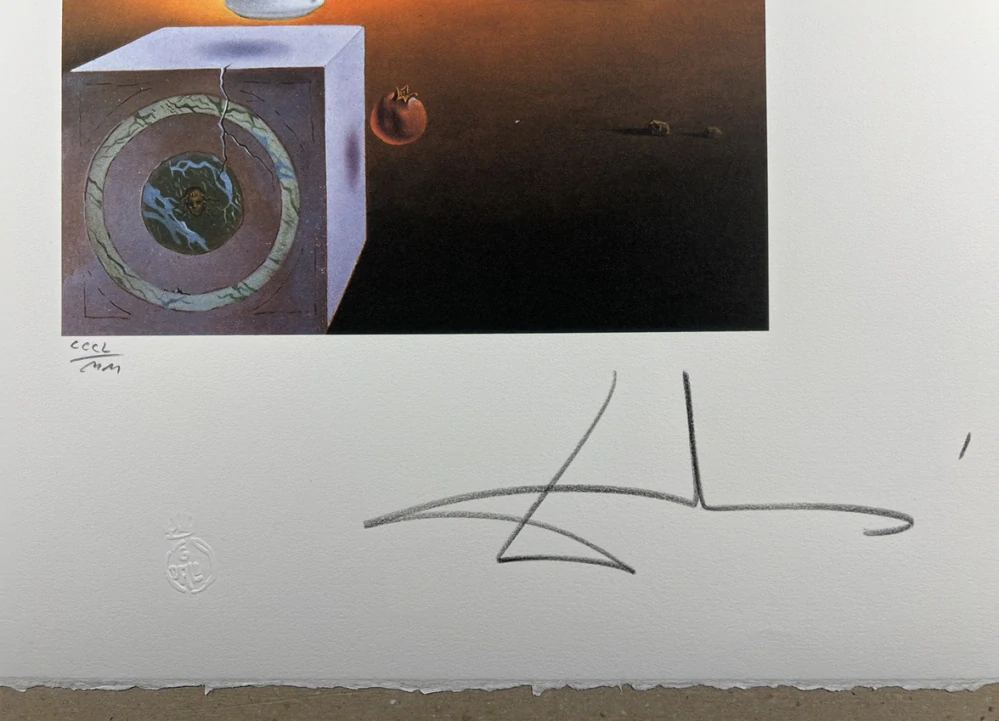 Obraz | Salvador Dalí | 