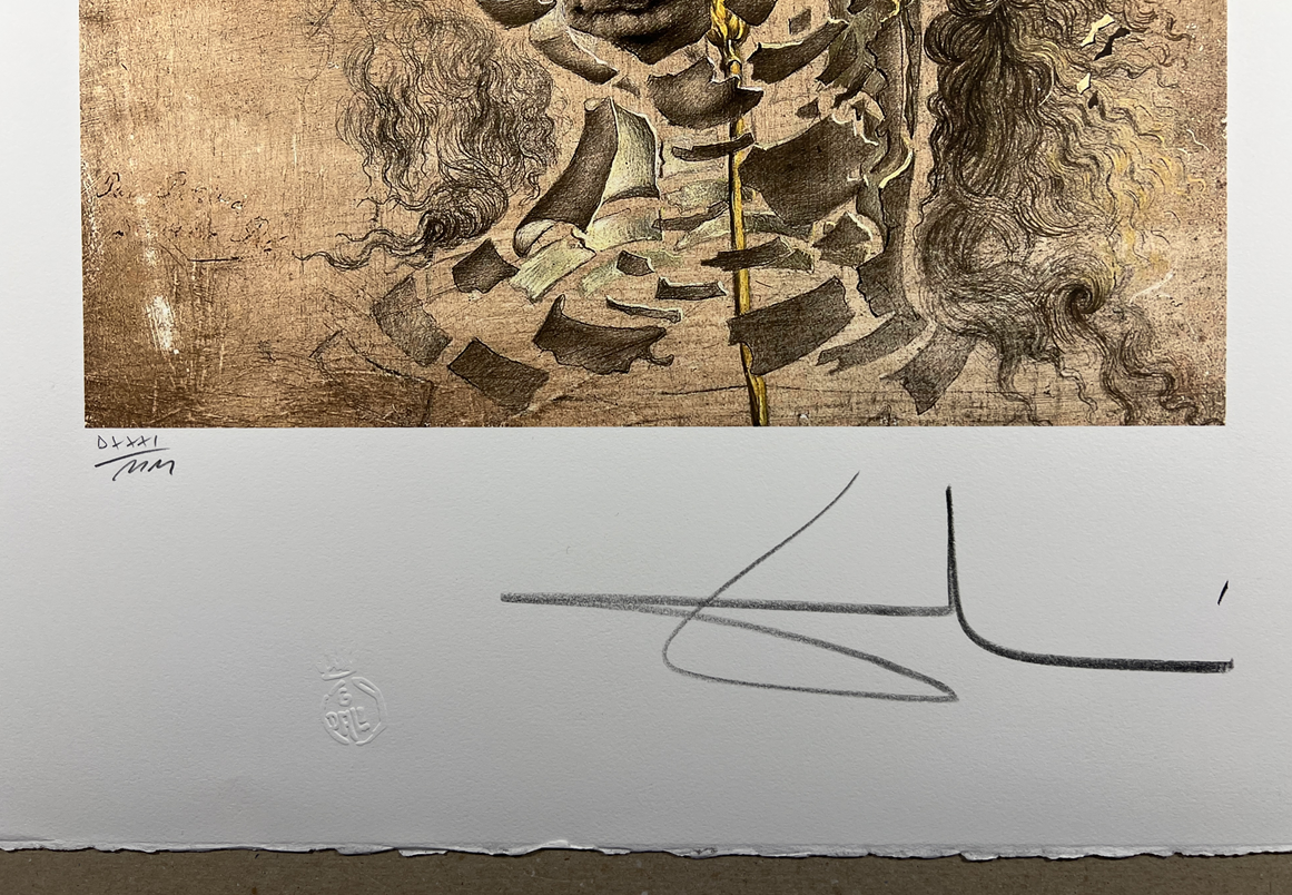 Obraz | Salvador Dalí | Hlava