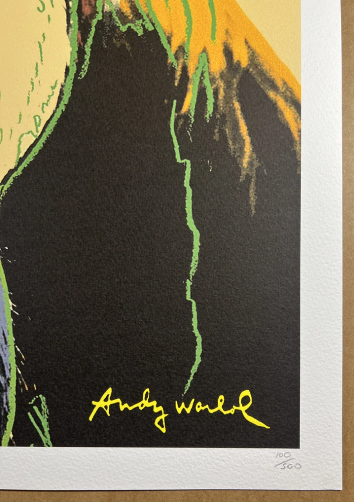 Obraz | Andy Warhol | Orangutan | hnědá