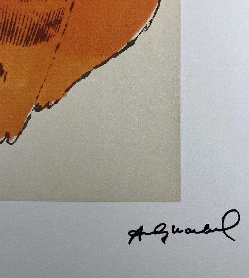 Obraz | Andy Warhol | Cat