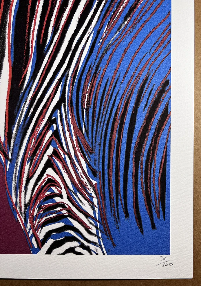 Obraz | Andy Warhol | Zebra Grévyho | bordo