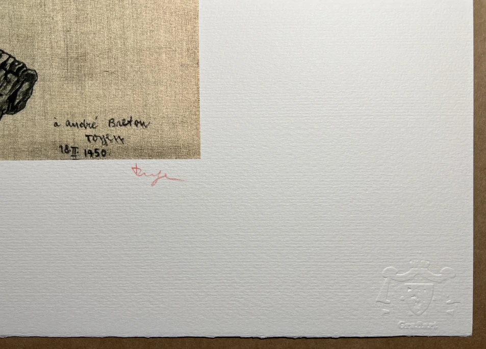 Obraz | Toyen | Portrét André Bretona