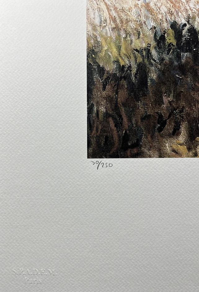 Obraz | Claude Monet | Dáma s deštníkem