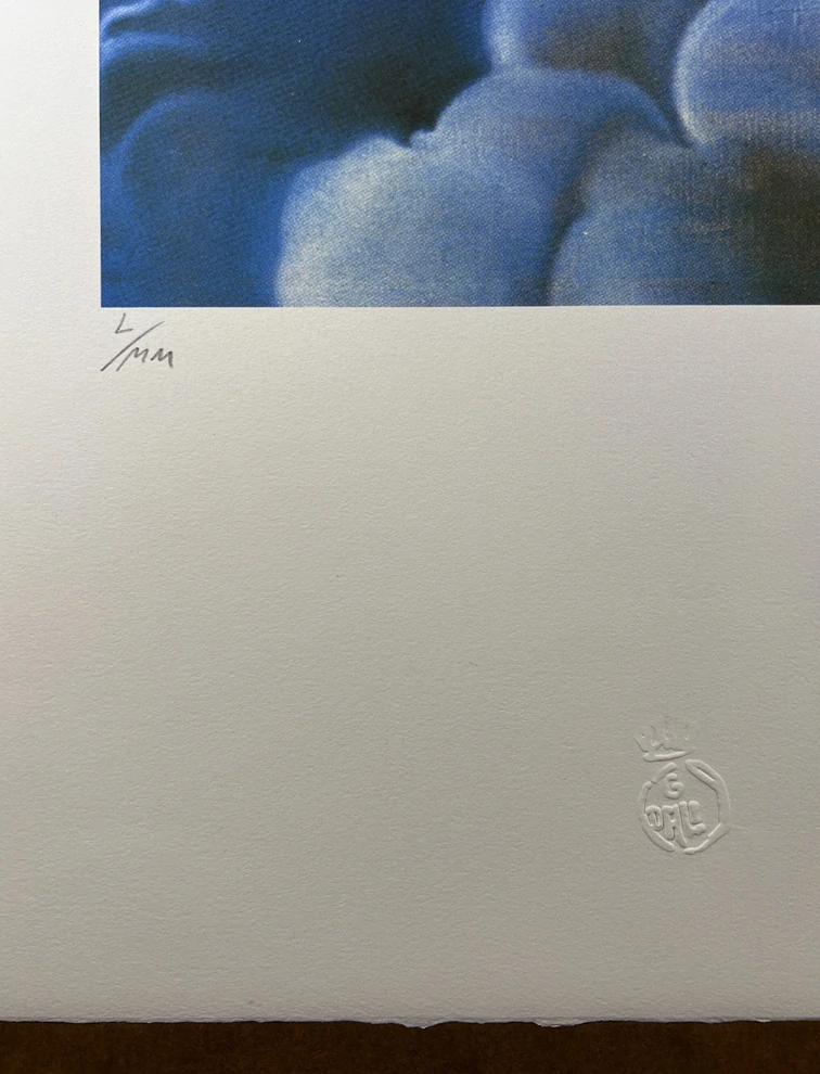 Obraz | Salvador Dalí | Žena v oblacích