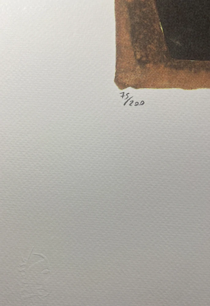 Obraz | Pablo Picasso | Still Live