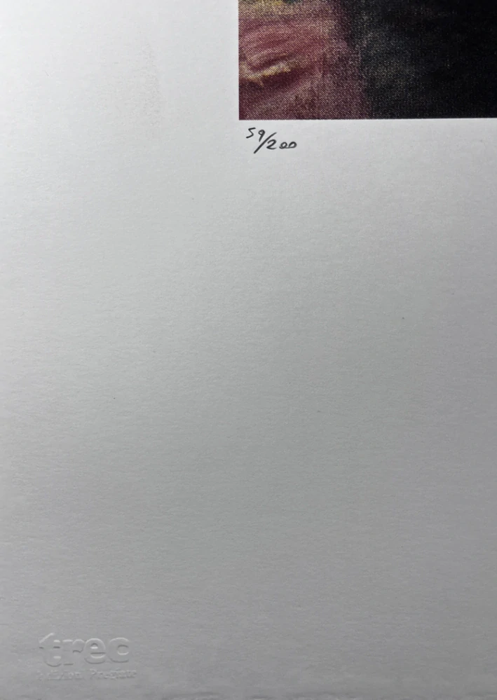 Obraz | Gustav Klimt | Dáme s rukávníkem