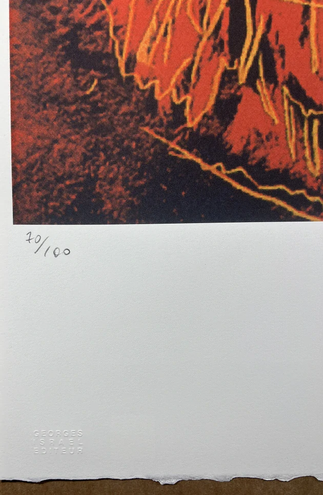 Obraz | Andy Warhol | Tygr sibiřský | oranžová