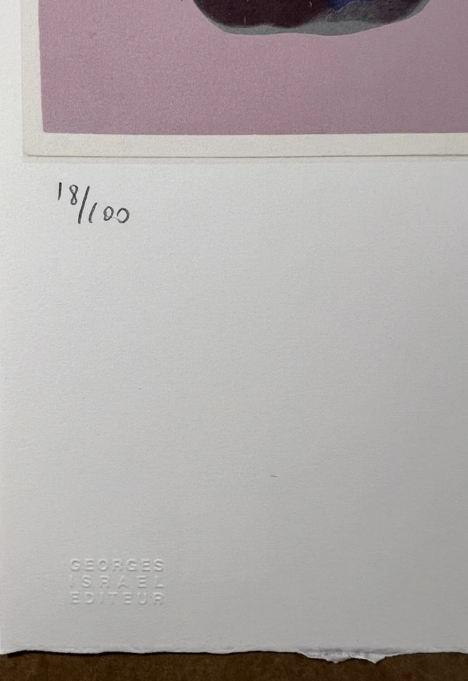 Obraz | Andy Warhol | Zebra Grévyho | růžová