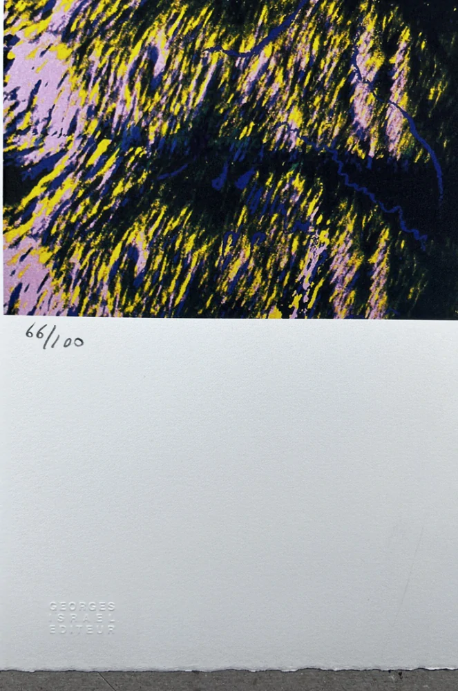 Obraz | Andy Warhol | Beran tlustorohý | světle modrá