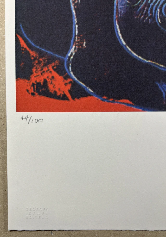 Obraz | Andy Warhol | Nosorožec černý | červená