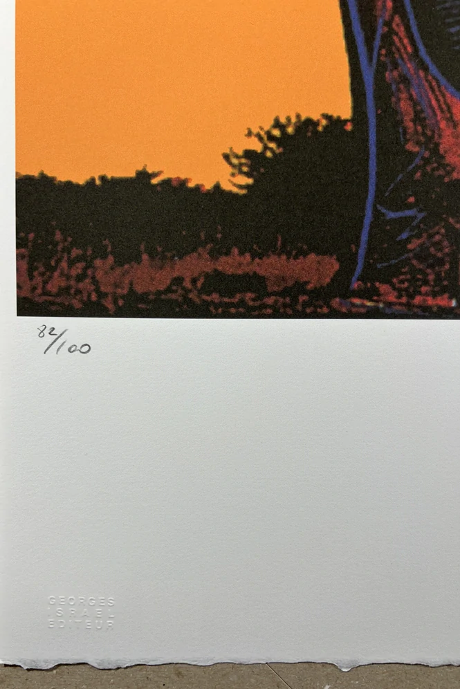 Obraz | Andy Warhol | Slon africký | oranžová