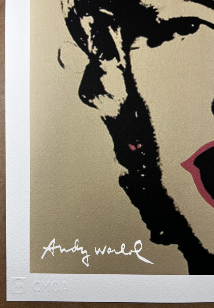 Obraz | Andy Warhol | Marilyn dvoubarevná