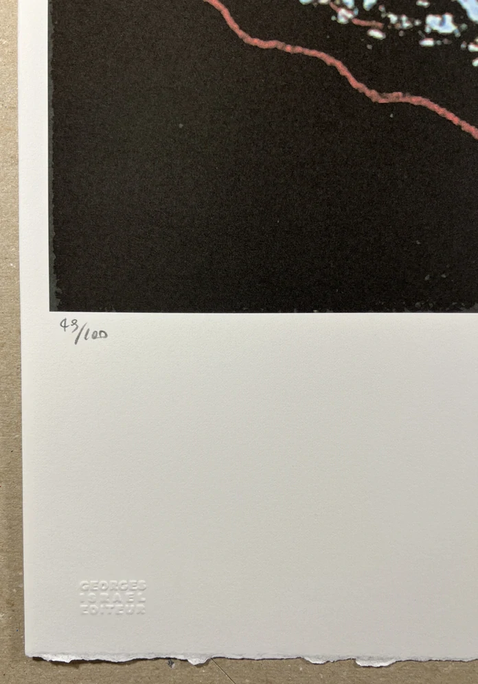 Obraz | Andy Warhol | Rosnička Pine Barrens | žlutá