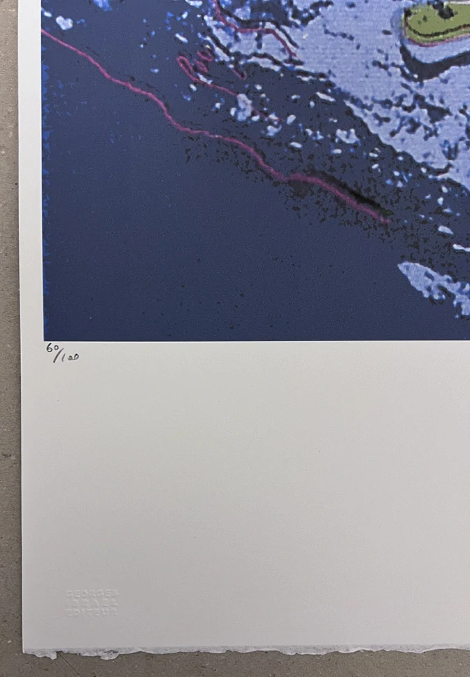 Obraz | Andy Warhol | Rosnička Pine Barrens | červená