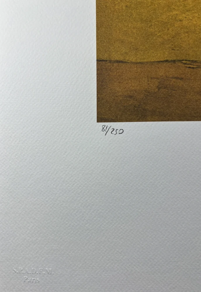 Obraz | Vincent van Gogh | Kosatce